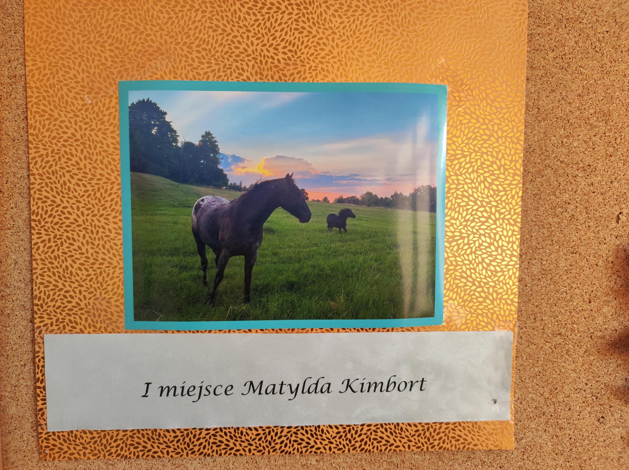 Dzień Krajobrazu